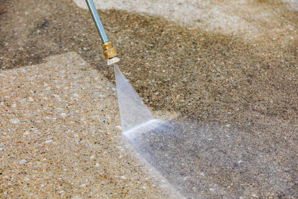 Best Roof Washing  in Macclenny, FL
