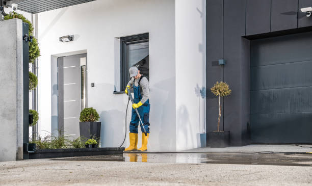 Best Animal Enclosure Cleaning  in Macclenny, FL
